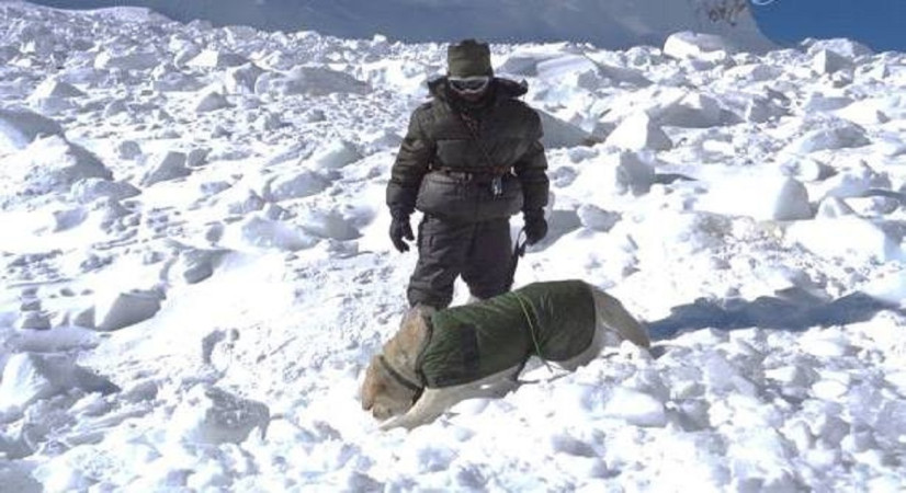 सांकेतिक तस्वीर सांकेतिक तस्वीर