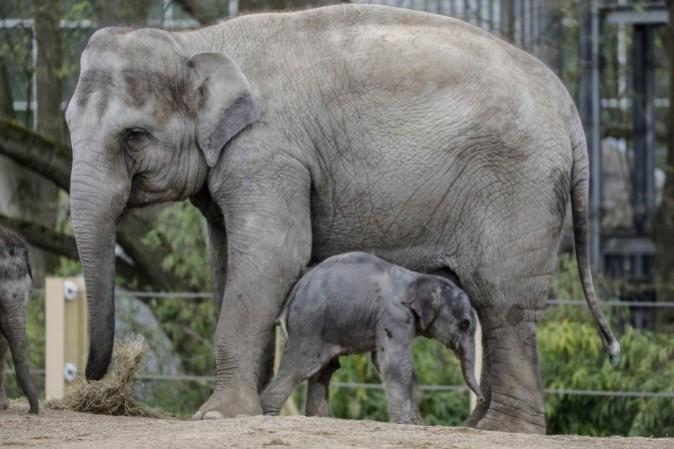 सांकेतिक तस्वीर सांकेतिक तस्वीर