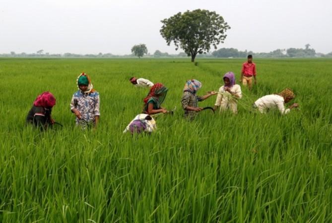 सांकेतिक तस्वीर सांकेतिक तस्वीर