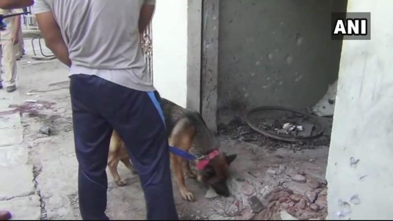 विस्फोट के बाद मौके की जांच करता डॉग स्क्वाड. विस्फोट के बाद मौके की जांच करता डॉग स्क्वाड.