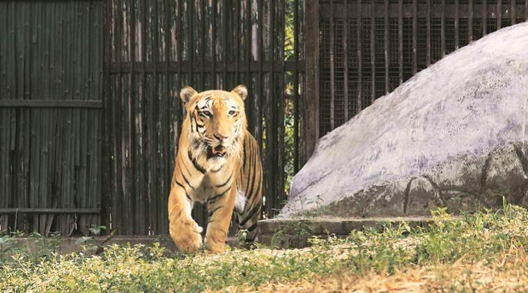 सांकेतिक तस्वीर -