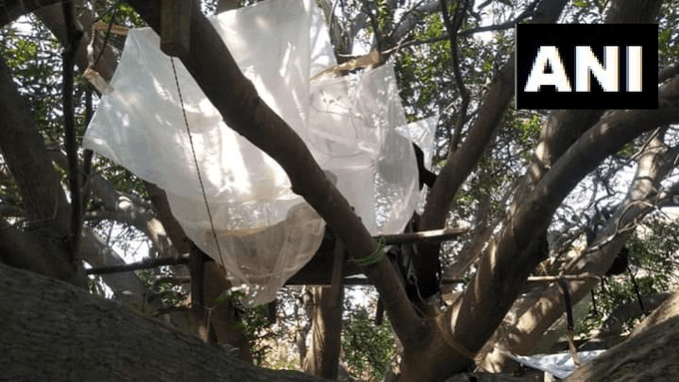 Isolation on tree