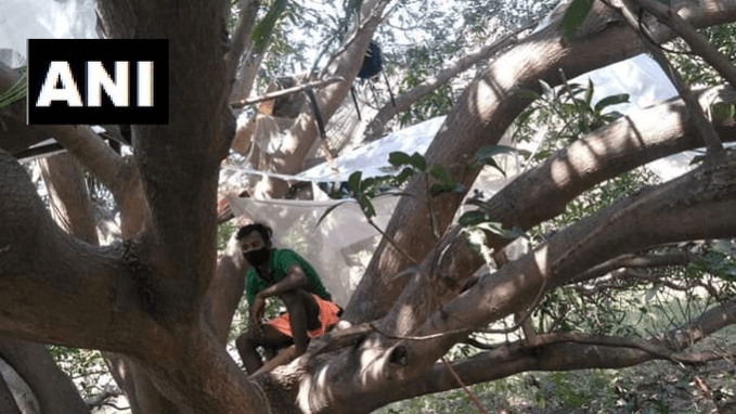 Isolation on tree